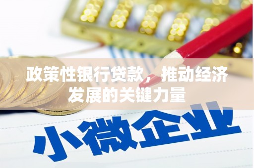 保税区政策性银行贷款，推动经济发展的关键力量
