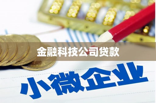 保税区金融科技公司贷款