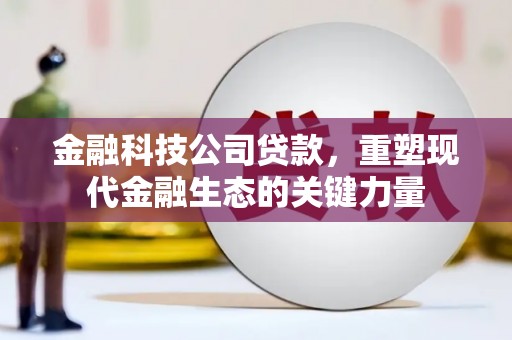 保税区金融科技公司贷款，重塑现代金融生态的关键力量