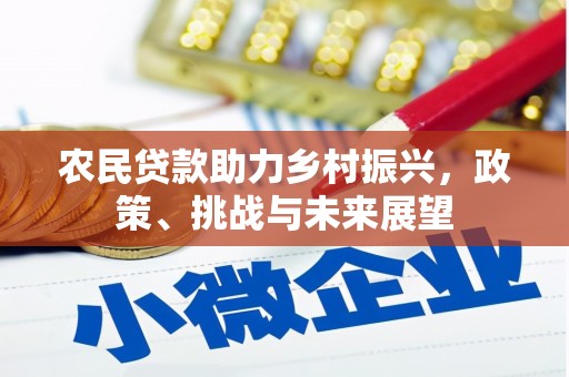 保税区农民贷款助力乡村振兴，政策、挑战与未来展望