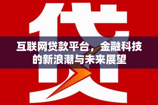 保税区互联网贷款平台，金融科技的新浪潮与未来展望