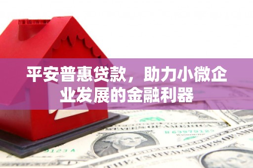 保税区平安普惠贷款，助力小微企业发展的金融利器