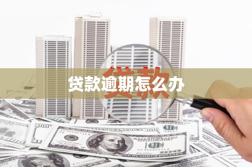 保税区贷款逾期怎么办