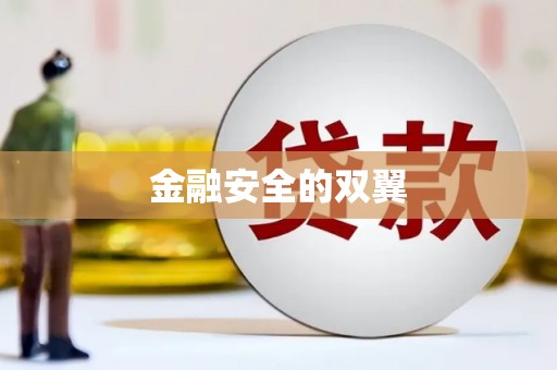 保税区金融安全的双翼