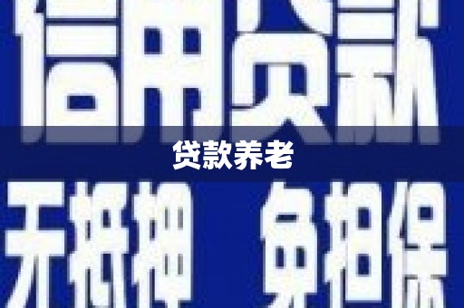 保税区贷款养老