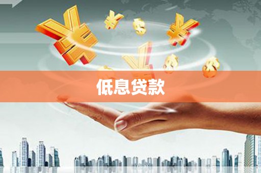 保税区低息贷款