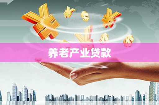 保税区养老产业贷款