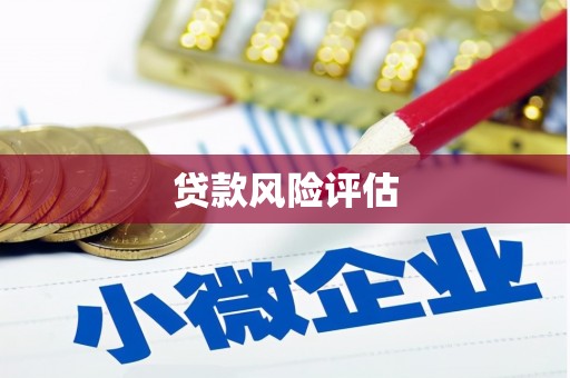 保税区贷款风险评估