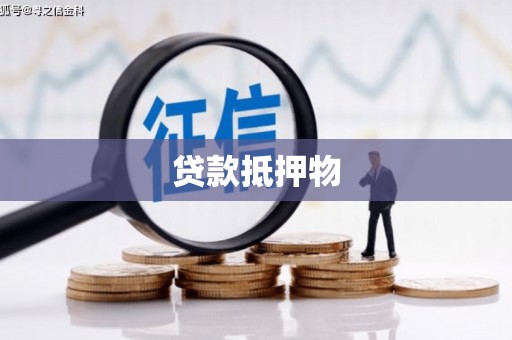 保税区贷款抵押物