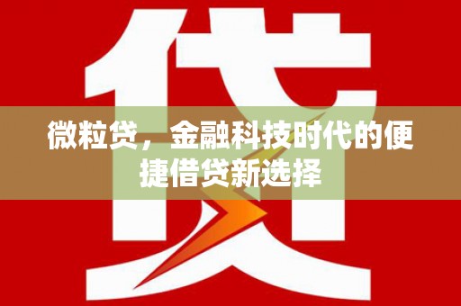 保税区微粒贷，金融科技时代的便捷借贷新选择