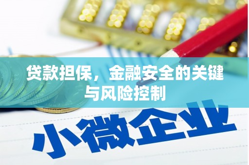 保税区贷款担保，金融安全的关键与风险控制