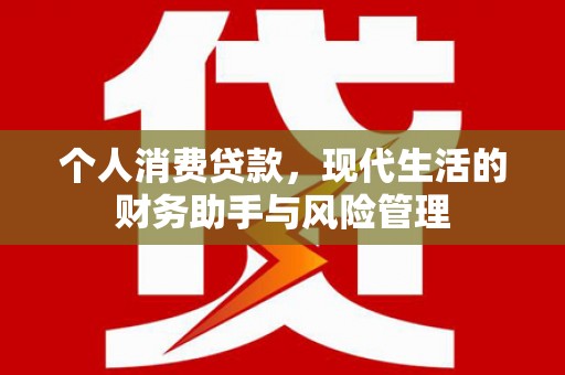 保税区个人消费贷款，现代生活的财务助手与风险管理