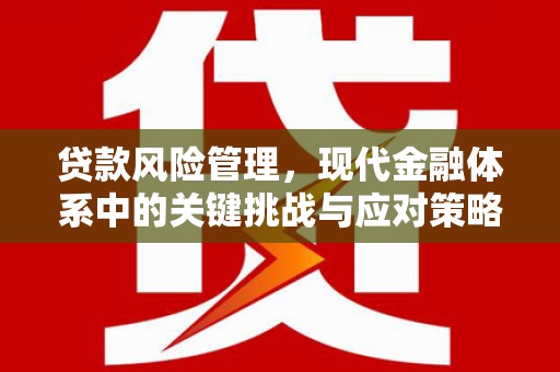 保税区贷款风险管理，现代金融体系中的关键挑战与应对策略