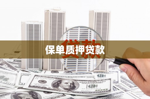 保税区保单质押贷款