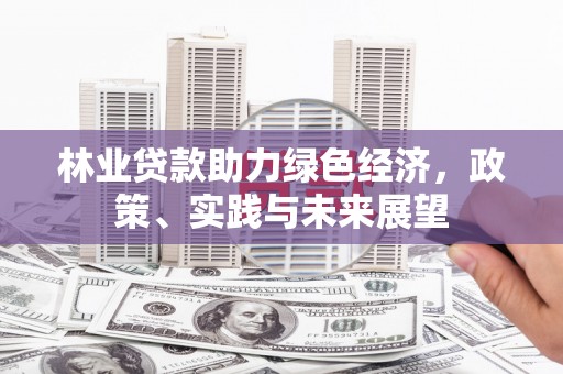保税区林业贷款助力绿色经济，政策、实践与未来展望