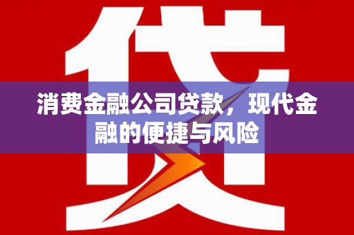 保税区消费金融公司贷款，现代金融的便捷与风险