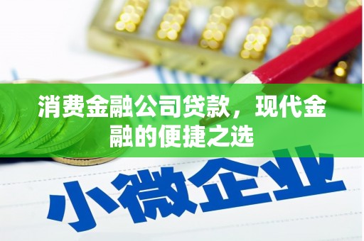 保税区消费金融公司贷款，现代金融的便捷之选