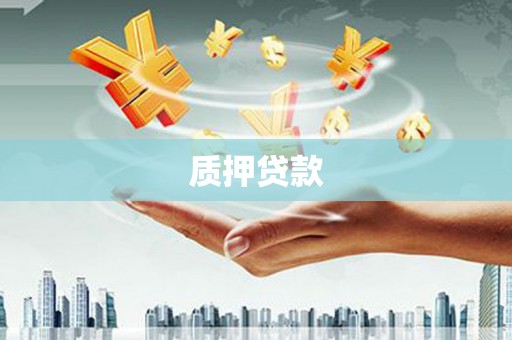 保税区质押贷款