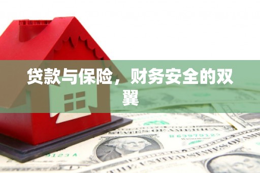 保税区贷款与保险，财务安全的双翼