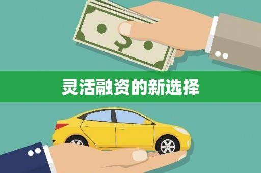 保税区灵活融资的新选择