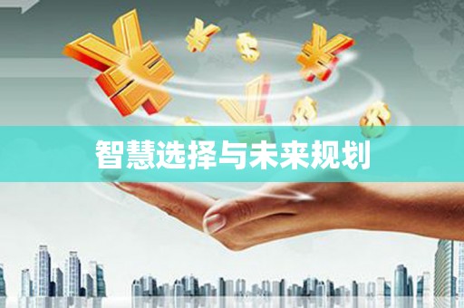保税区智慧选择与未来规划