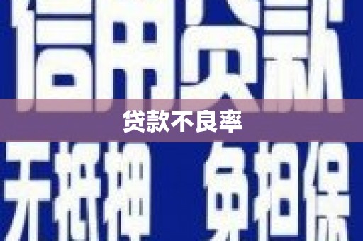 保税区贷款不良率