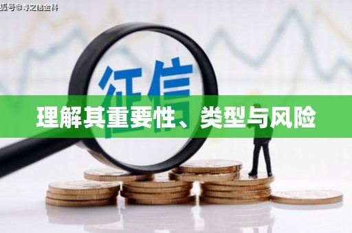 保税区理解其重要性、类型与风险