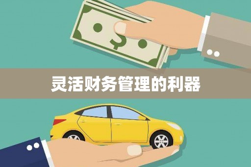 保税区灵活财务管理的利器
