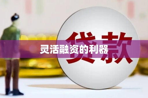 保税区灵活融资的利器