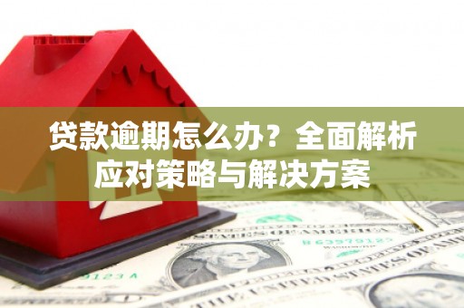 保税区贷款逾期怎么办？全面解析应对策略与解决方案