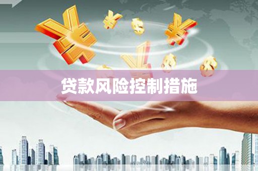 保税区贷款风险控制措施