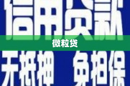 保税区微粒贷