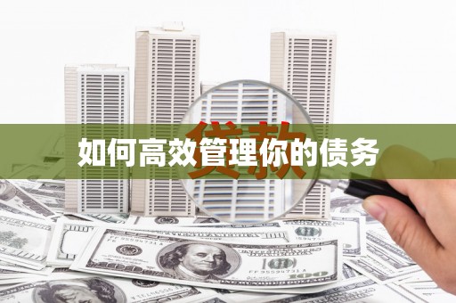 保税区如何高效管理你的债务