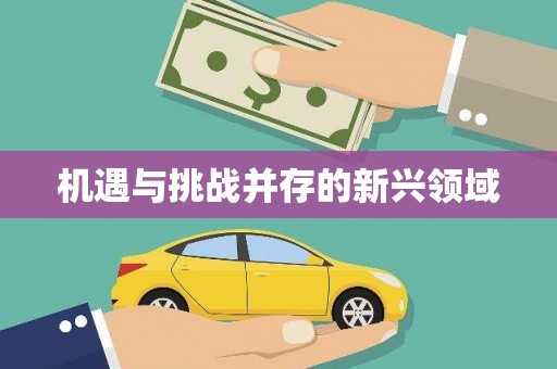 保税区机遇与挑战并存的新兴领域