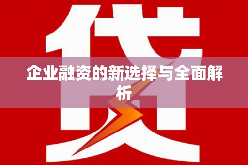 保税区企业融资的新选择与全面解析