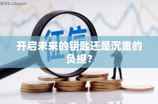保税区开启未来的钥匙还是沉重的负担？