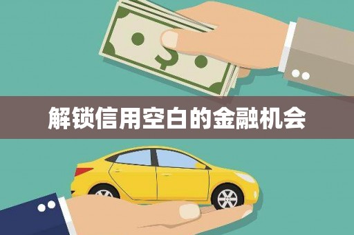 保税区解锁信用空白的金融机会
