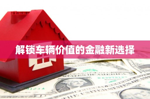保税区解锁车辆价值的金融新选择
