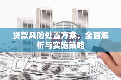 保税区贷款风险处置方案，全面解析与实施策略