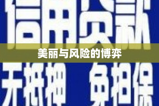 保税区美丽与风险的博弈