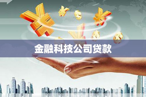 保税区金融科技公司贷款