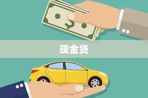 保税区现金贷