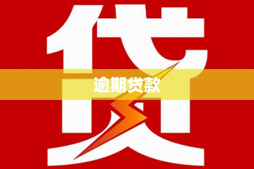保税区逾期贷款