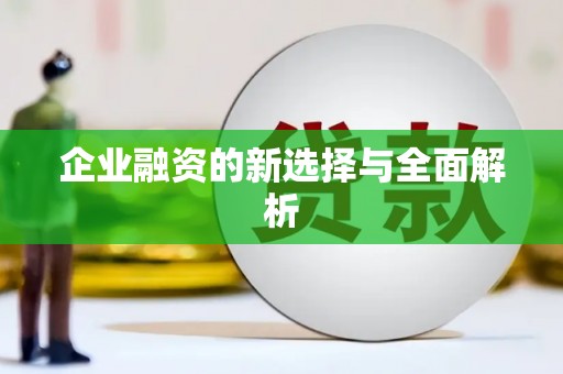 保税区企业融资的新选择与全面解析