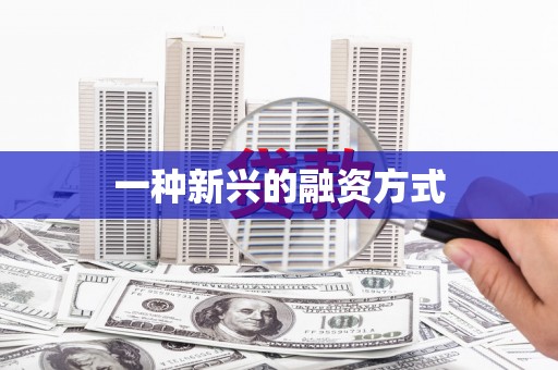 保税区一种新兴的融资方式