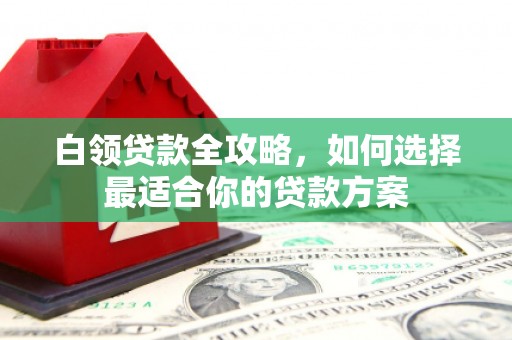 保税区白领贷款全攻略，如何选择最适合你的贷款方案