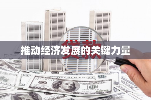 保税区推动经济发展的关键力量