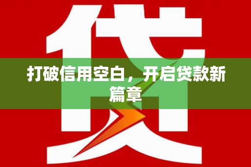 保税区打破信用空白，开启贷款新篇章