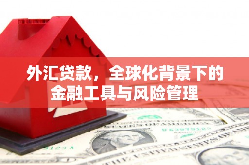 保税区外汇贷款，全球化背景下的金融工具与风险管理