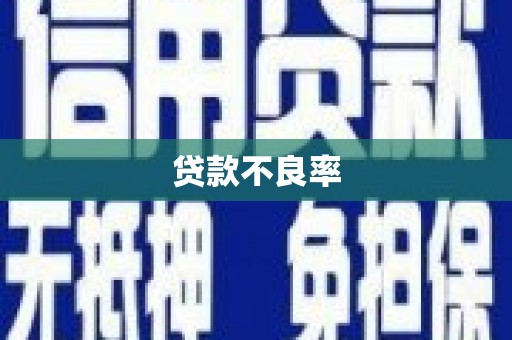 保税区贷款不良率